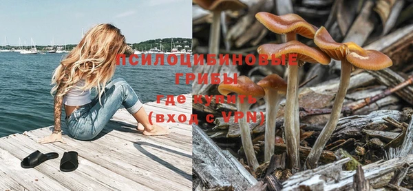 mix Богородицк