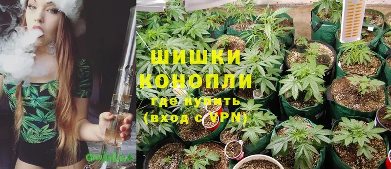 Бошки марихуана White Widow  Белый 